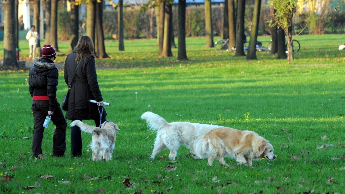 cani parchi pubblici