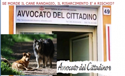 Niente risarcimento se a mordere e&#039; un cane randagio